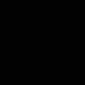 Meet your Posher, Roy